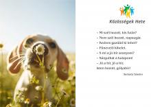 Közösségek hete